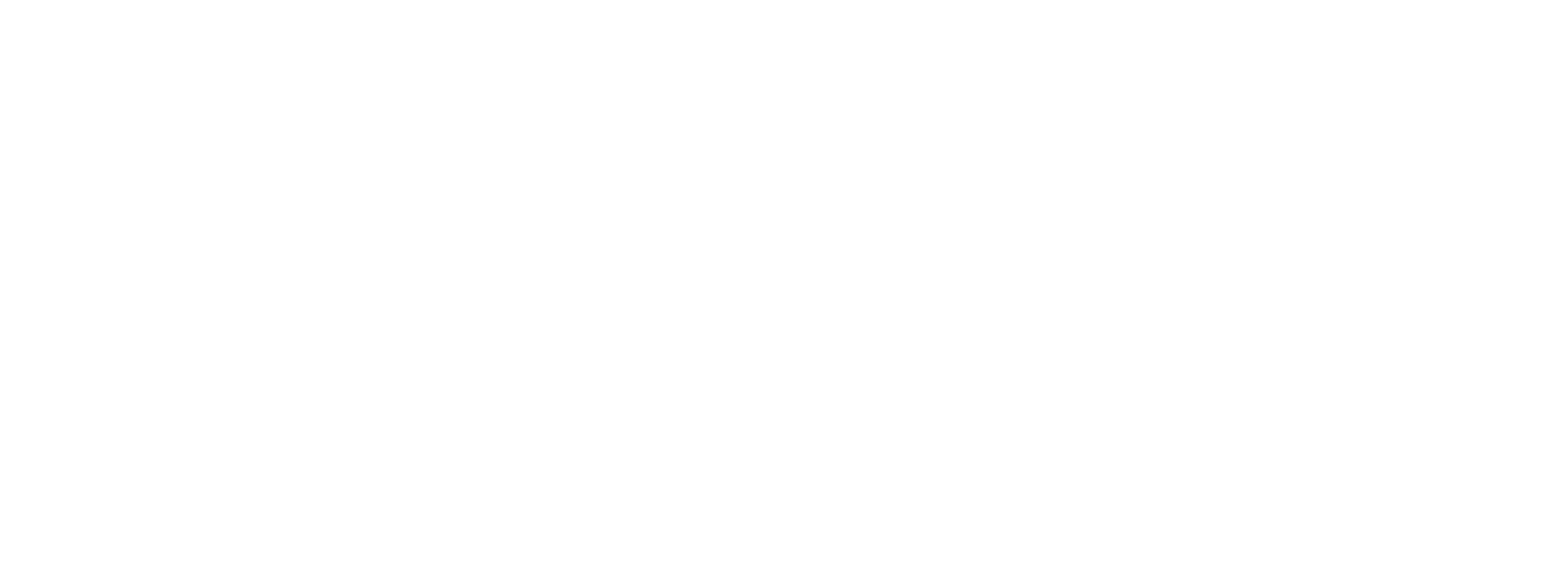 seeqmore consulting